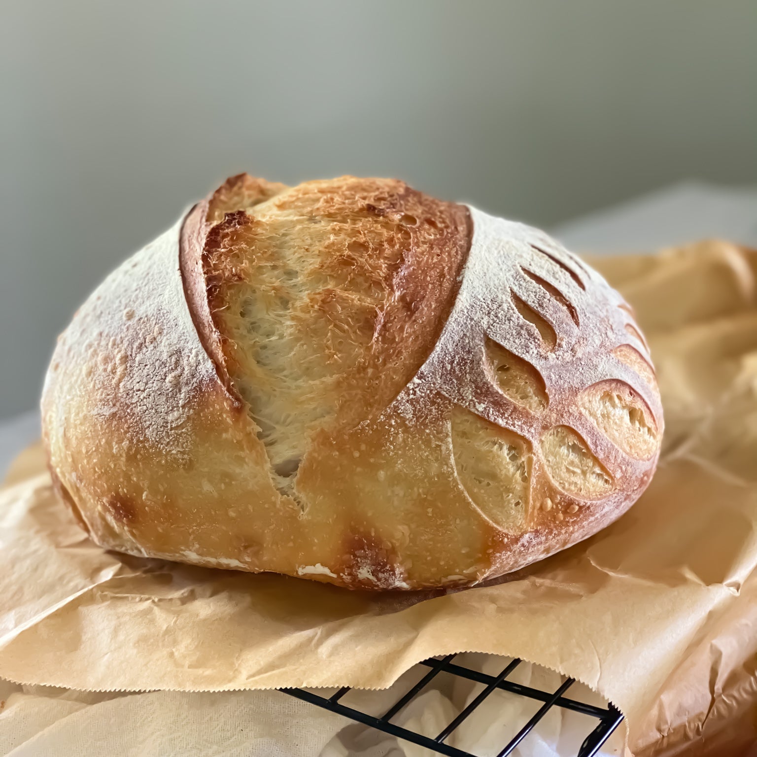 Sourdough Bread