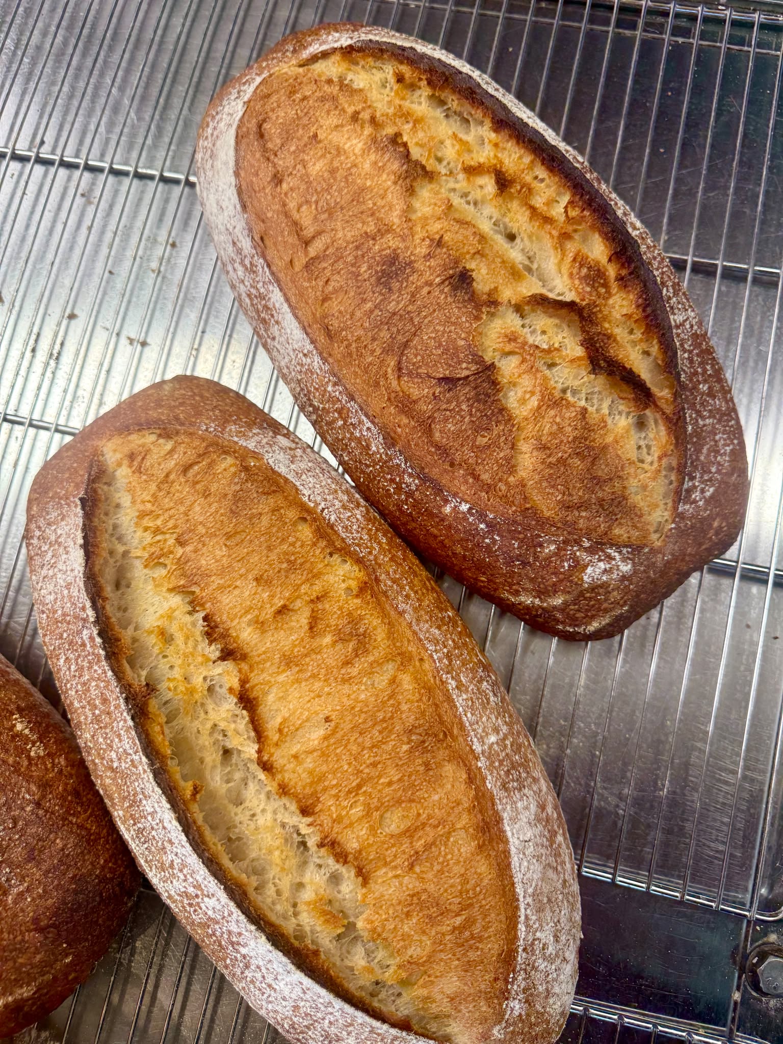 White Sour Bread